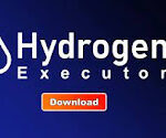 Hydrogen Executor